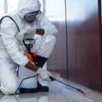 pest inspections sydney